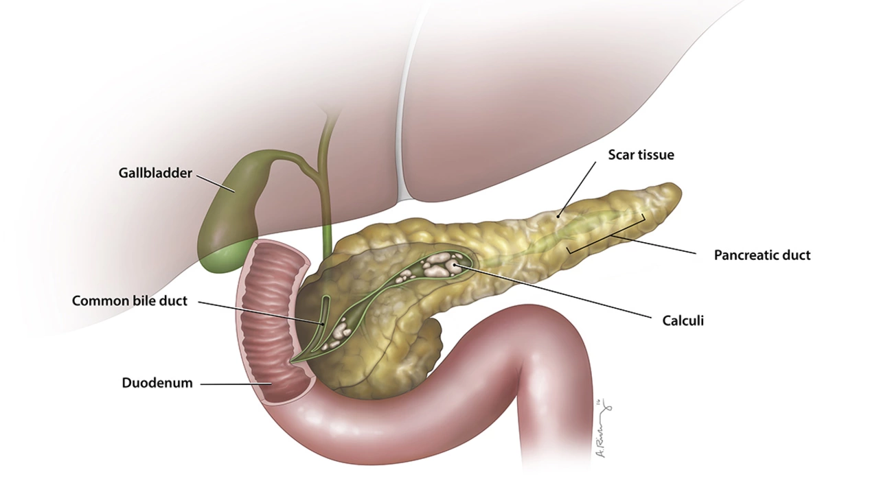 Pancreatin: The Secret Weapon for Improved Digestion and Overall Health