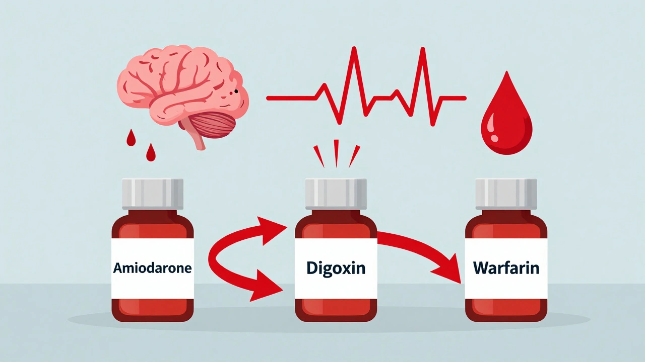 Amiodarone, Digoxin, and Warfarin: The Dangerous Drug Triad You Can't Afford to Miss